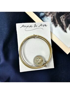 NEW Anna & Ava Roman Coin Mixed Metals Bangle Set